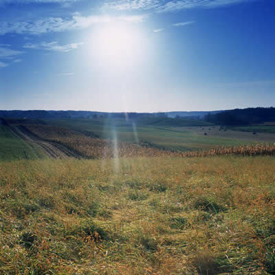 Biomass and bioenergy